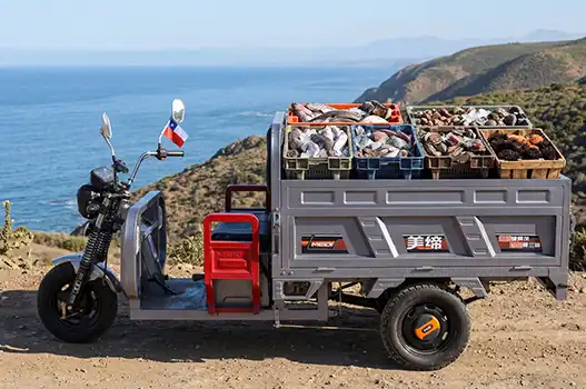 What to Expect When You Buy Your First Cargo Electric Tricycle?